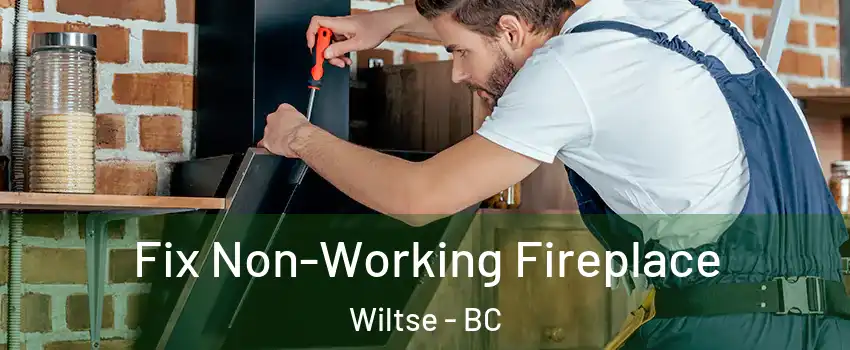  Fix Non-Working Fireplace Wiltse - BC