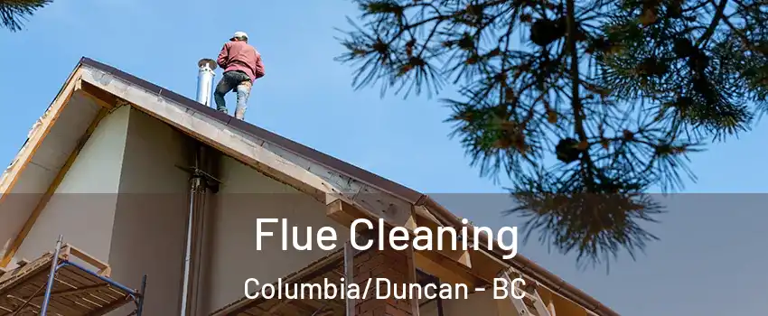  Flue Cleaning Columbia/Duncan - BC