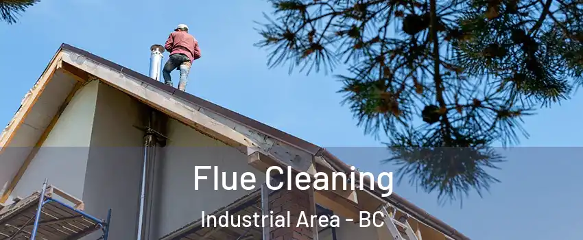  Flue Cleaning Industrial Area - BC
