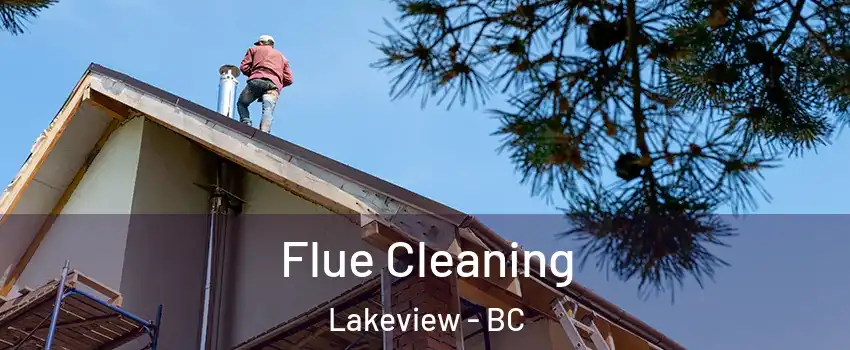  Flue Cleaning Lakeview - BC