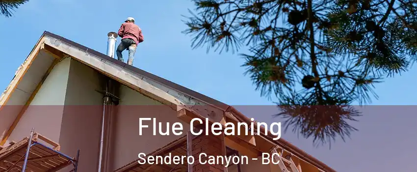  Flue Cleaning Sendero Canyon - BC