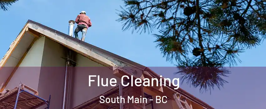  Flue Cleaning South Main - BC