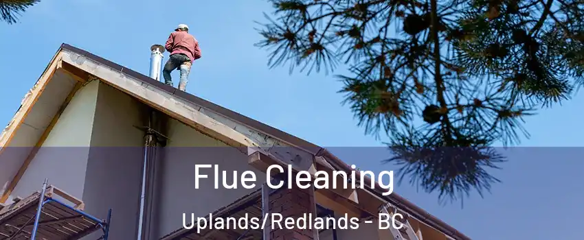  Flue Cleaning Uplands/Redlands - BC