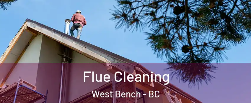  Flue Cleaning West Bench - BC