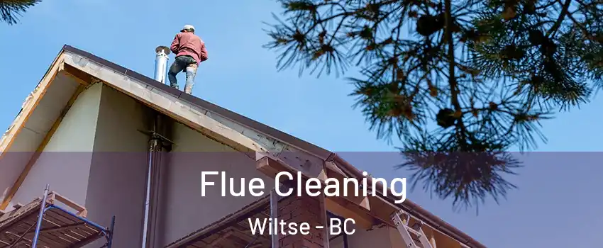  Flue Cleaning Wiltse - BC