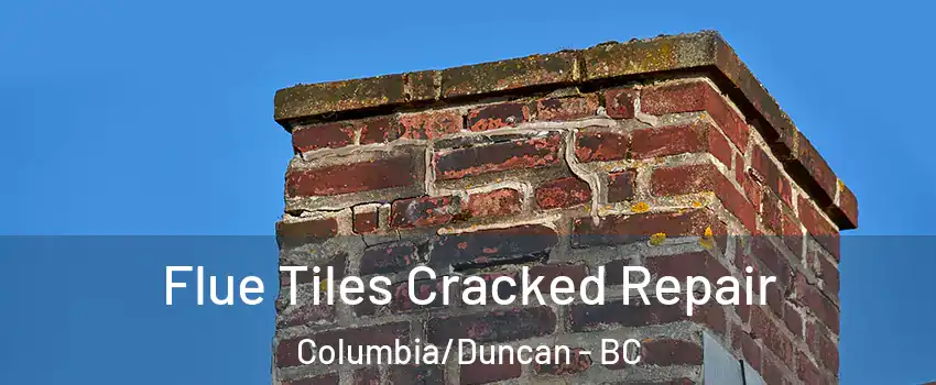  Flue Tiles Cracked Repair Columbia/Duncan - BC