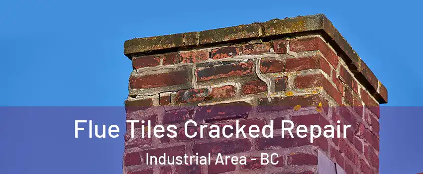  Flue Tiles Cracked Repair Industrial Area - BC