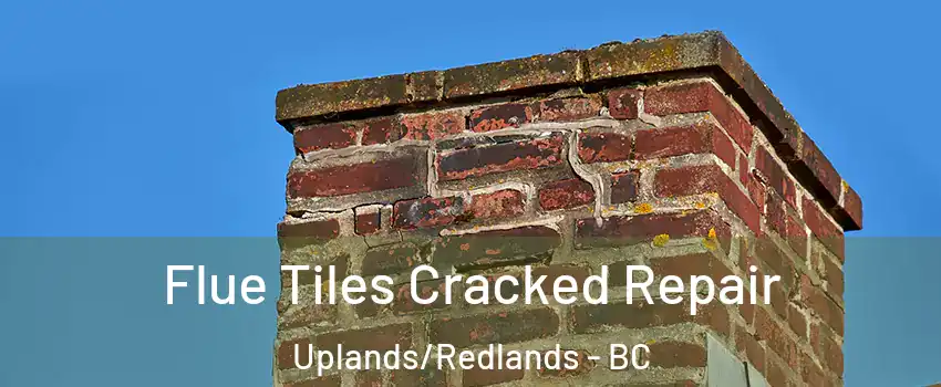 Flue Tiles Cracked Repair Uplands/Redlands - BC