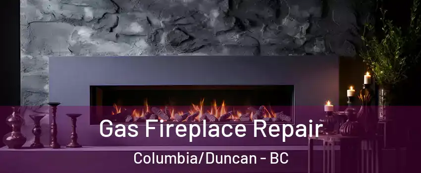  Gas Fireplace Repair Columbia/Duncan - BC