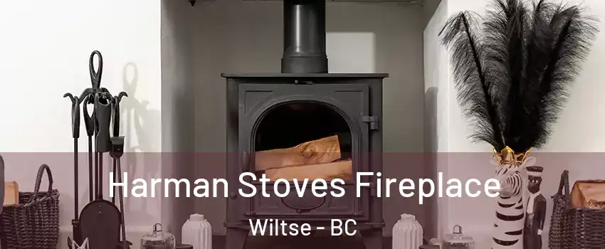  Harman Stoves Fireplace Wiltse - BC