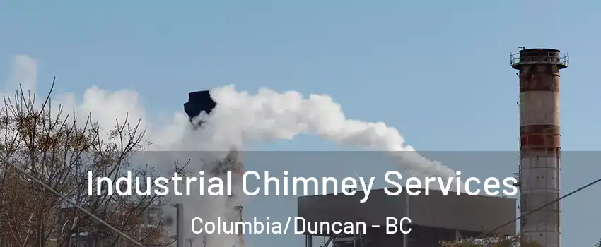 Industrial Chimney Services Columbia/Duncan - BC
