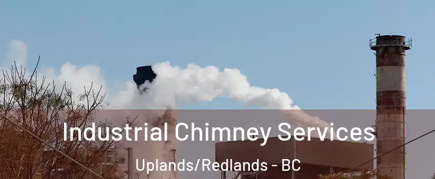  Industrial Chimney Services Uplands/Redlands - BC