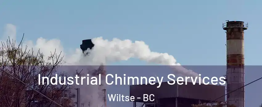  Industrial Chimney Services Wiltse - BC