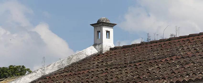 Wind-Resistant Chimney Caps Installation and Repair Services in Penticton, British Columbia