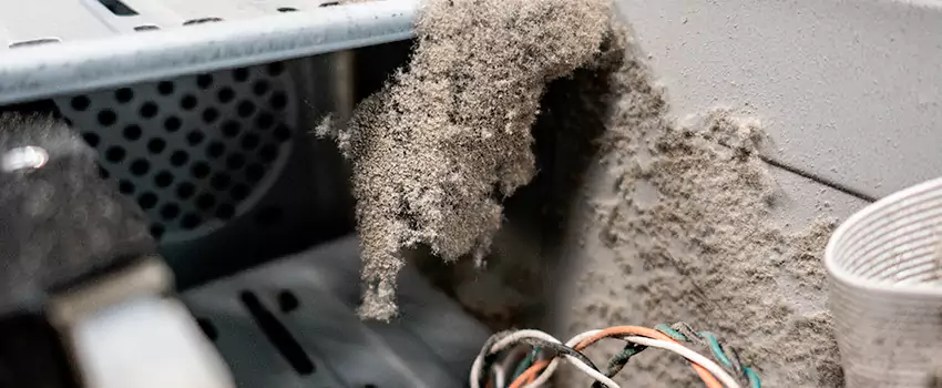 Clogged Dryer Vent Lint Cleaning in Penticton, British Columbia