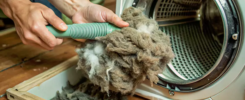 Best Dryer Lint Removal Company in Penticton, British Columbia