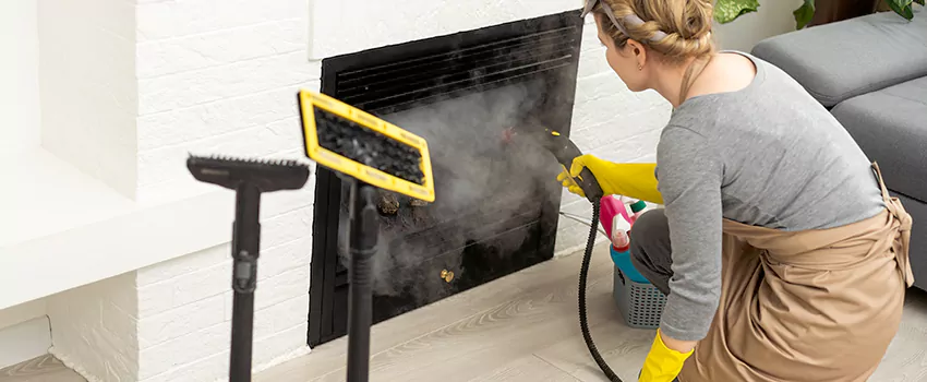 Fireplace Doors Cleaning in Penticton, British Columbia
