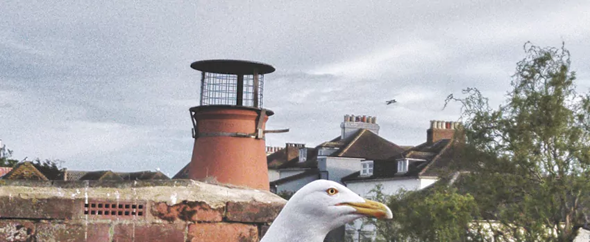 Chimney Cap Bird Guard Repair in Penticton, British Columbia