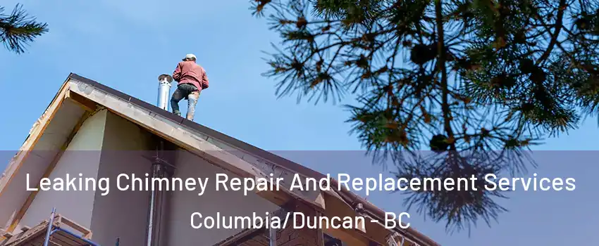  Leaking Chimney Repair And Replacement Services Columbia/Duncan - BC