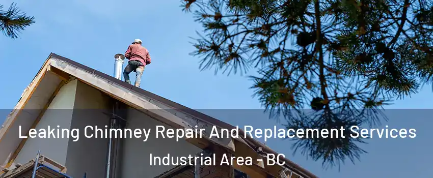  Leaking Chimney Repair And Replacement Services Industrial Area - BC