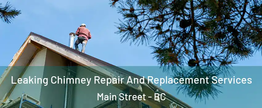  Leaking Chimney Repair And Replacement Services Main Street - BC