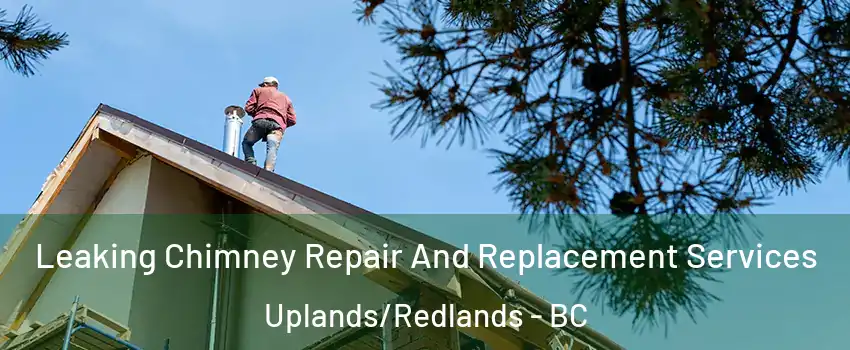  Leaking Chimney Repair And Replacement Services Uplands/Redlands - BC
