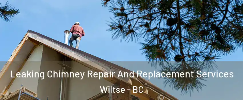  Leaking Chimney Repair And Replacement Services Wiltse - BC