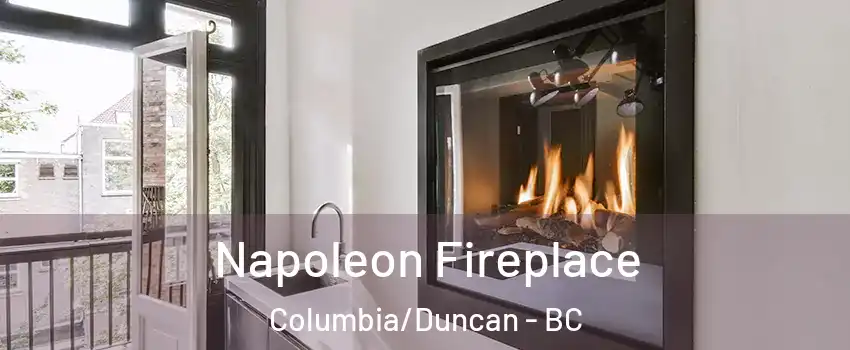  Napoleon Fireplace Columbia/Duncan - BC