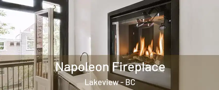  Napoleon Fireplace Lakeview - BC
