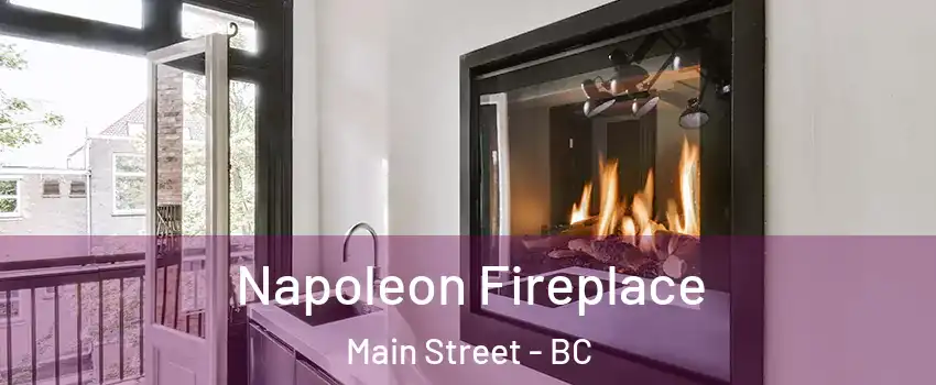  Napoleon Fireplace Main Street - BC