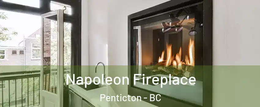  Napoleon Fireplace Penticton - BC