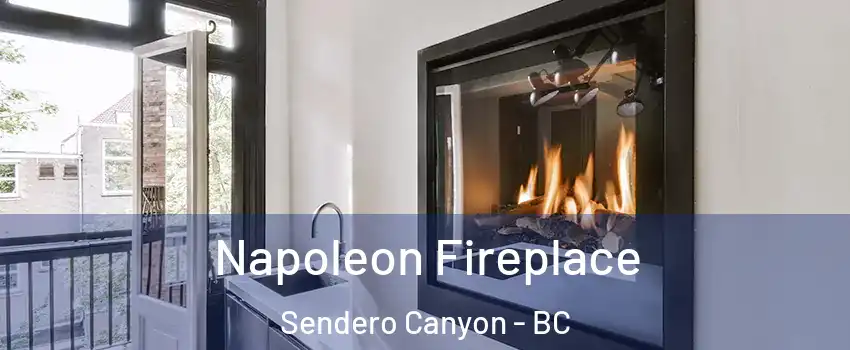  Napoleon Fireplace Sendero Canyon - BC