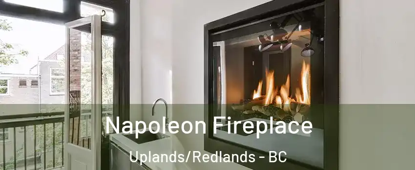  Napoleon Fireplace Uplands/Redlands - BC
