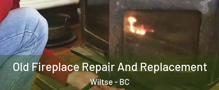  Old Fireplace Repair And Replacement Wiltse - BC