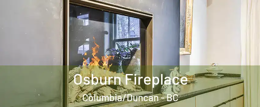  Osburn Fireplace Columbia/Duncan - BC