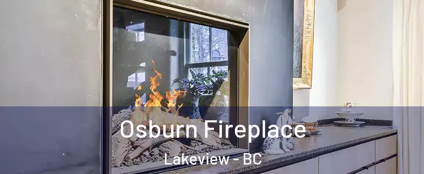  Osburn Fireplace Lakeview - BC