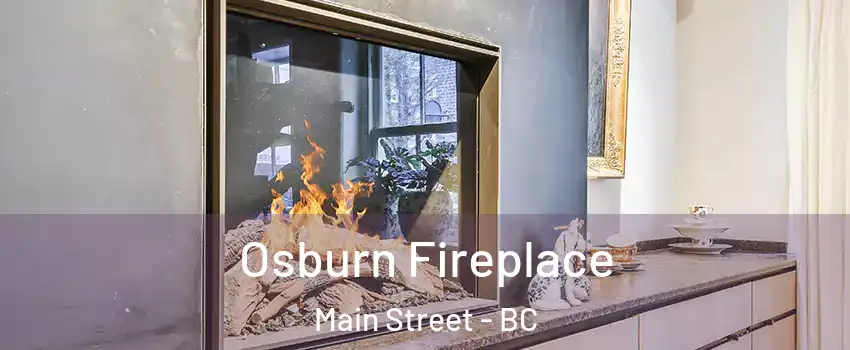  Osburn Fireplace Main Street - BC