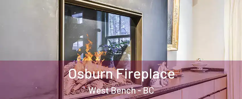  Osburn Fireplace West Bench - BC