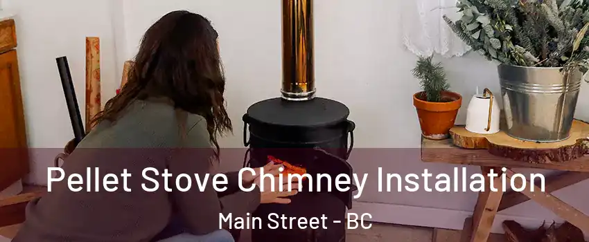  Pellet Stove Chimney Installation Main Street - BC