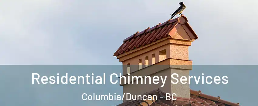 Residential Chimney Services Columbia/Duncan - BC