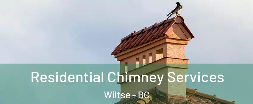  Residential Chimney Services Wiltse - BC