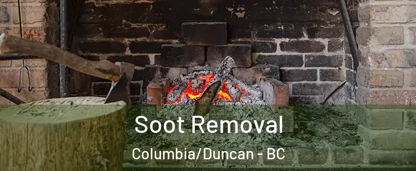  Soot Removal Columbia/Duncan - BC