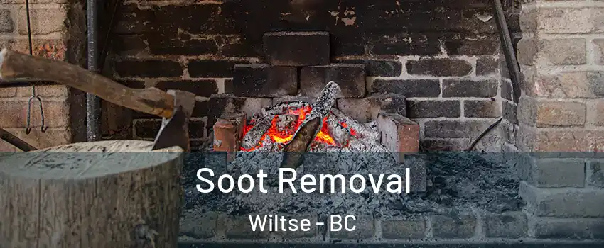  Soot Removal Wiltse - BC