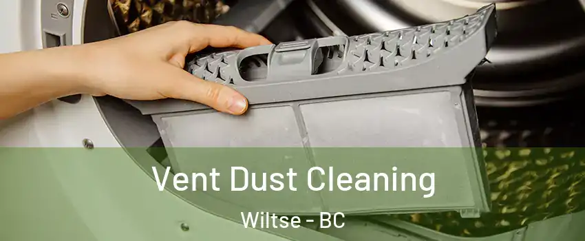  Vent Dust Cleaning Wiltse - BC