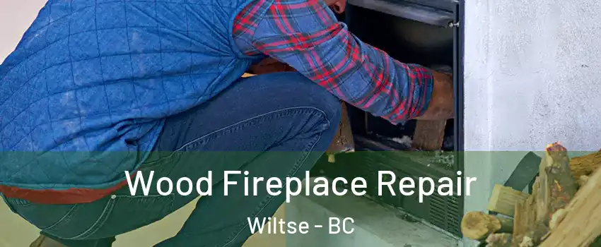  Wood Fireplace Repair Wiltse - BC