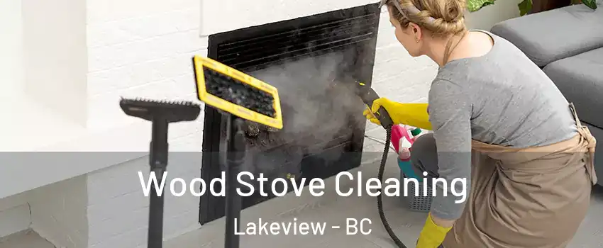  Wood Stove Cleaning Lakeview - BC