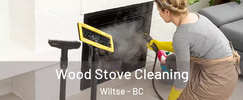  Wood Stove Cleaning Wiltse - BC