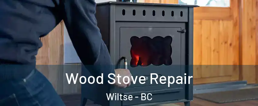  Wood Stove Repair Wiltse - BC